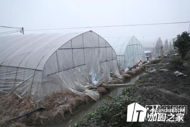 大雪來(lái)臨加固大棚 減少農(nóng)業(yè)損失！